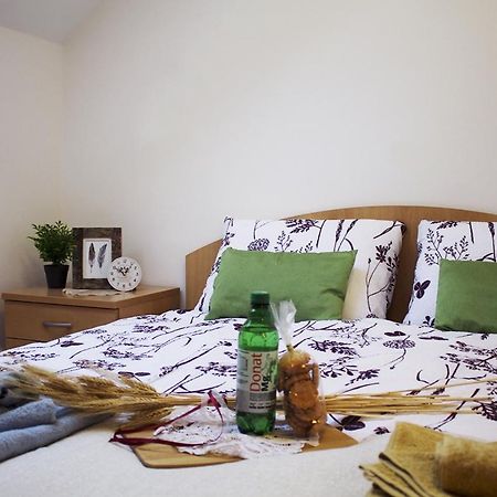 Apartma Pegaz Rogaska Slatina Exterior photo