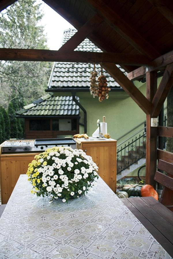 Apartma Pegaz Rogaska Slatina Exterior photo